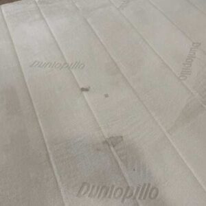 3.5 英尺床,SB FURNITURE 品牌,3.5 英尺袋装弹簧床垫,11 英寸厚,Dunlopillo 品牌,New Forest 型号