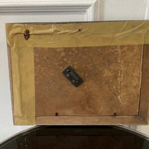 三只猴子的图片