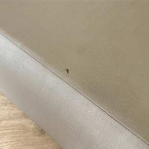6 英尺床，灰色，6 英尺床垫，10 英寸厚，Slumberland 品牌