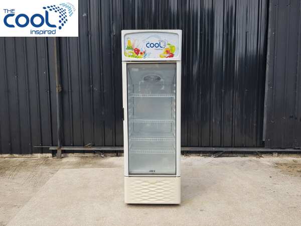 单门冰箱，容量239升，品牌The Cool