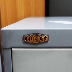 钢制文件柜，带 2 个抽屉，Lucky 品牌_06R2DZKWBZ