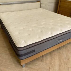 6 英尺床垫，Sealy 品牌，Vigor 型号_1NDCN274DF