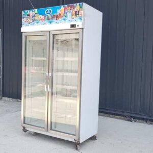 SANDEN INTERCOOL 双门不锈钢冷冻柜，型号 YPM-110P
