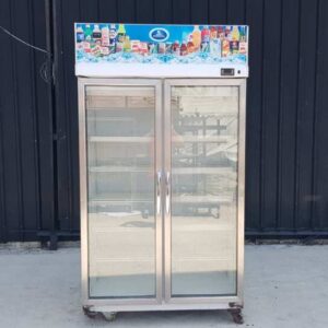 SANDEN INTERCOOL 双门不锈钢冷冻柜，型号 YPM-110P