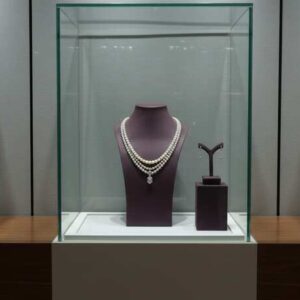 玻璃展示柜，宽 49 厘米