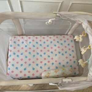 电动婴儿摇椅，Cradle Max品牌。