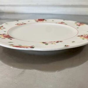 花盘 31 厘米