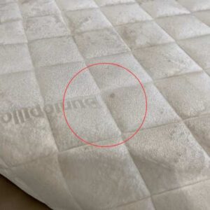 6英尺床墊，9吋厚，鄧祿普（Dunlopillo）品牌，Inspire Velour型號