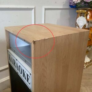 BJ Hi-Fi Audio 10英寸120瓦音箱