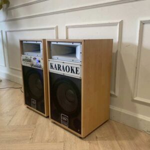 BJ Hi-Fi Audio 10英寸120瓦音箱