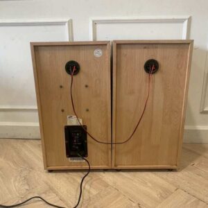 BJ Hi-Fi Audio 10英寸120瓦音箱